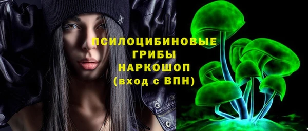 крисы Алзамай