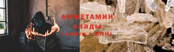крисы Алзамай