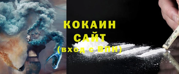 крисы Алзамай
