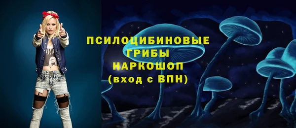 крисы Алзамай