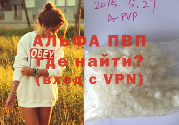 крисы Алзамай