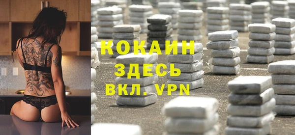 крисы Алзамай